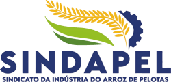 Sindapel